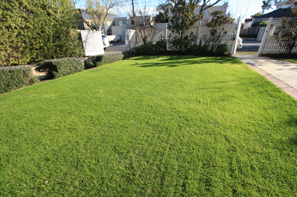 selling house, reseed lawns