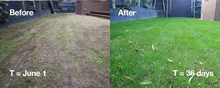 Reseeding Before and After