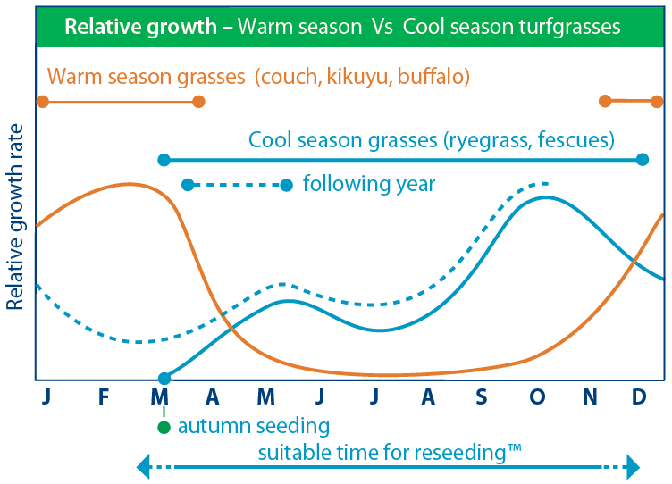 turf grass growth curves